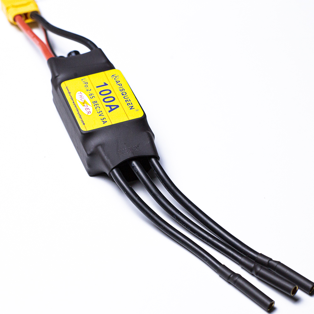 ApisQueen underwater 100A Brus - огляд і ціна Rc Boat Brushless Motor